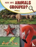 Simons, Lisa M. Bolt - How Are Animals Grouped?