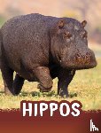 Jaycox, Jaclyn - Hippos