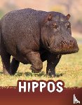 Jaycox, Jaclyn - Hippos