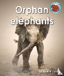 Beattie, Kath - Orphan elephants