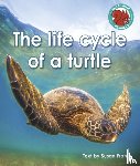 Frame, Susan - The life cycle of a turtle