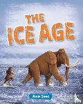Seed, Andy - Reading Planet: Astro – The Ice Age - Venus/Gold band