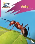 Thomas, Isabel - Reading Planet: Rocket Phonics – Target Practice – Ants! – Pink A