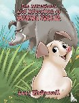 McDowell, Lucy - The Adventures And Education of Quintus Porker