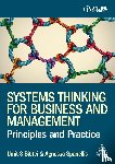 Bititci, Professor Umit S, Spanellis, Dr Agnessa - Systems Thinking for Business and Management