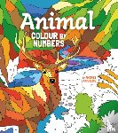 Arcturus Publishing Limited - Animal Colour by Numbers