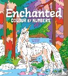 Vaisberg, Andres - Enchanted Colour by Numbers