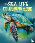 Willow, Tansy - The Sea Life Colouring Book