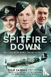 Sarkar, Dilip - Spitfire Down