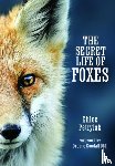 Petrylak, Chloe - The Secret Life of Foxes