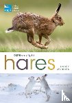 Jennings, Nancy - RSPB Spotlight Hares