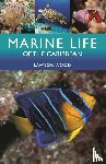 Wood, Lawson - Marine Life of the Caribbean
