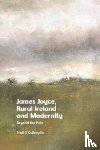 Cuileagin, Niall - James Joyce, Rural Ireland and Modernity
