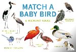 Unwin, Mike - Match a Baby Bird: An Avian Memory Game