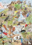 Unwin, Mike - Around the World in 50 Birds