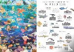 Scales, Helen, George, Marcel - Around the World in 50 Fish & Other Sea Life