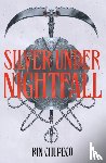 Chupeco, Rin - Silver Under Nightfall