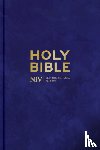 Version, New International - NIV Larger Print Personal Velvet Bible