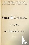 Kneale, Matthew - SMALL CRIMES IN AN AGE OF ABUN