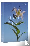 Catholic Bible Press - NRSV Catholic Edition Bible, Easter Lily Paperback (Global Cover Series)