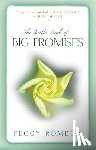 Rometo, Peggy - Little Book of Big Promises