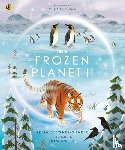 Stewart-Sharpe, Leisa - Frozen Planet II