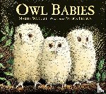 Waddell, Martin - Owl Babies