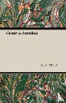 Steer, G.L. - Caesar In Abyssinia