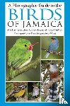 Haynes-Sutton, Ann, Rey-Millet, Yves-Jacques, Downer, Audrey, Sutton, Robert - A Photographic Guide to the Birds of Jamaica
