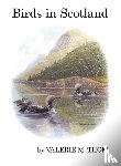 Thom, Valerie M. - Birds in Scotland