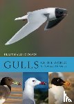 Malling Olsen, Klaus - Gulls of the World