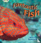 Lynch, Emma - Bug Club Phonics - Phase 4 Unit 12: Fantastic Fish