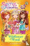Banks, Rosie - Secret Kingdom: Wildflower Wood