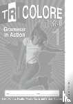 Honnor, S, Mascie-Taylor, Heather - Tricolore Total 1 Grammar in Action (8 pack)