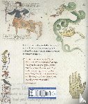 Library, British - Harry Potter – A History of Magic