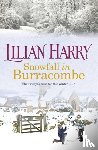 Harry, Lilian - Snowfall in Burracombe