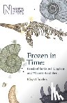 Charles, Rhys - Frozen in Time