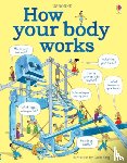Hindley, Judy - How your body works