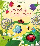 Watt, Fiona - Wind-up Ladybird