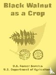 U S Forest Service, U S Department of Agriculture - Black Walnut as a Crop