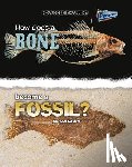 Stewart, Melissa - How Does a Bone Become a Fossil?