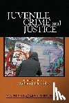 Chambliss - Juvenile Crime and Justice
