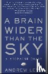 Levy, Andrew - A Brain Wider Than the Sky: A Migraine Diary