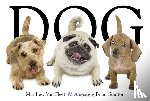 Van Fleet, Matthew - Dog