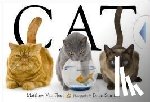 Fleet, Matthew Van - CAT