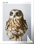 Jeffreys, Leila - Bird Love