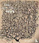 Swanson, Larry, Newman, Eric, Araque, Alfonso - The Beautiful Brain