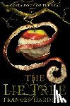 Hardinge, Frances - The Lie Tree