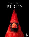 Flach, Tim - Birds