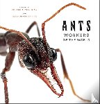 Rice, Eleanor Spicer - Ants: Workers of the World - Workers of the World